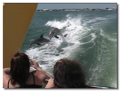 Florida 2006 (66)
